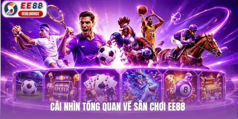 Hồ sơ nhận diện EE88 trên website MCIcoin